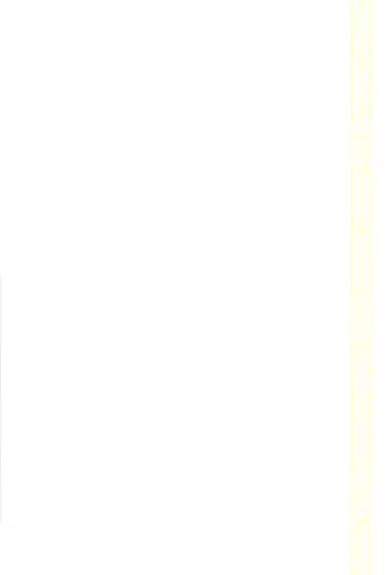 [Kiriyama Machi] Ryoshuu Fhentai - Page 38