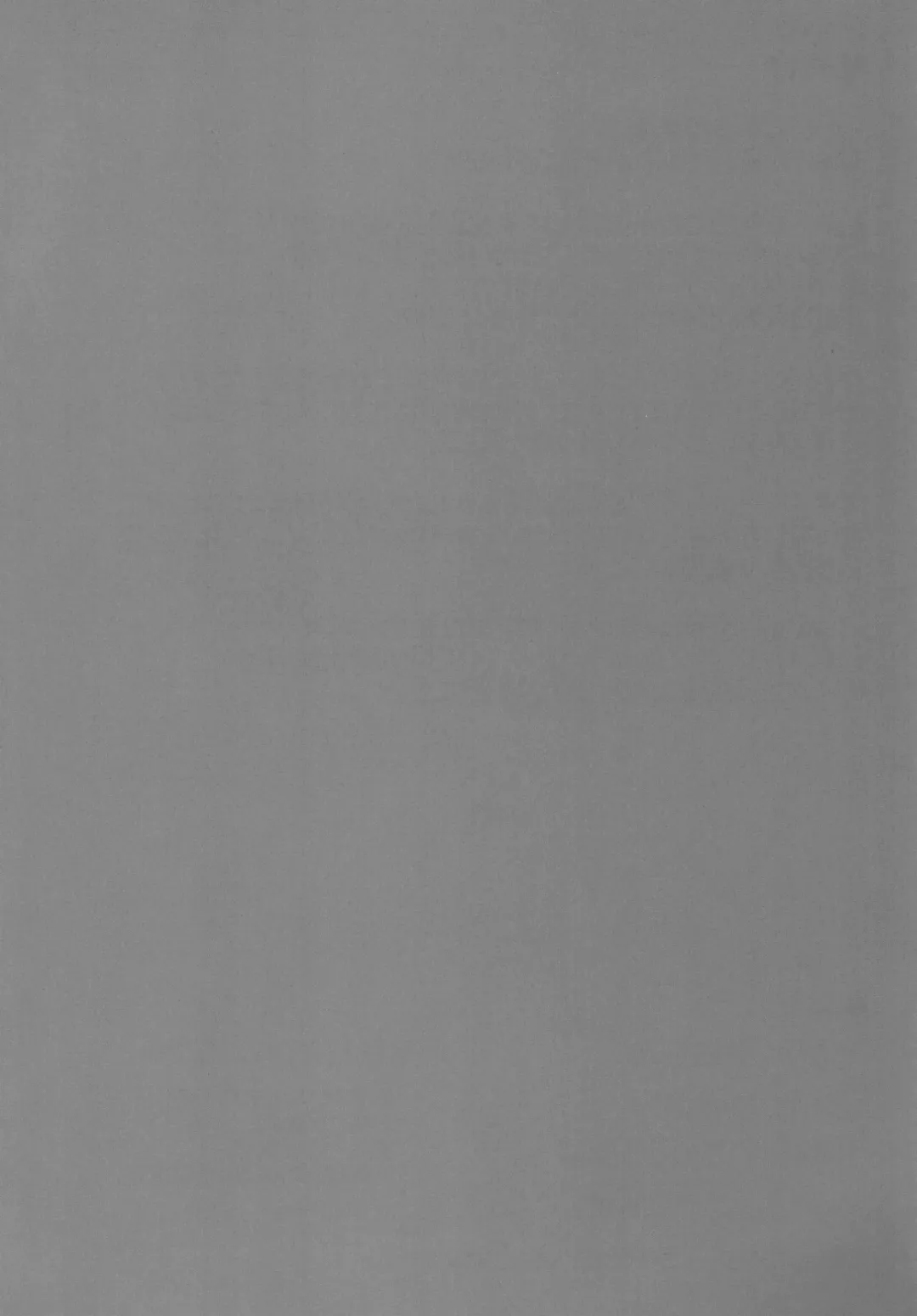 [Ryokutya] Elf Bokujou - Sakunyuu Hen Fhentai - Page 28