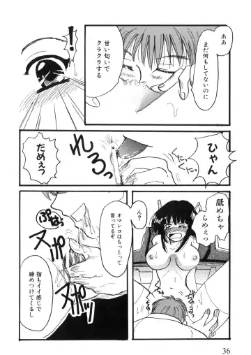 Iron Maiden -Hagane no Otome- Fhentai - Page 37