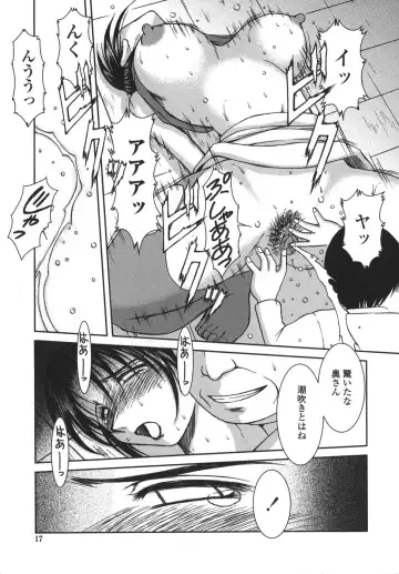 [Chiba Shuusaku] Sunaba no Aruji Fhentai - Page 17