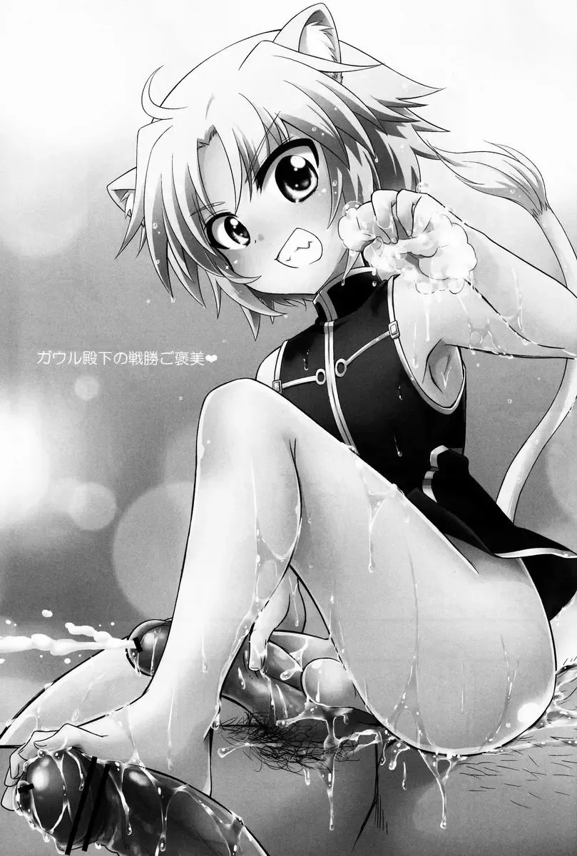 [Okino Matsushiro] Gaul-denka no Senshou go Houbi Fhentai - Page 2