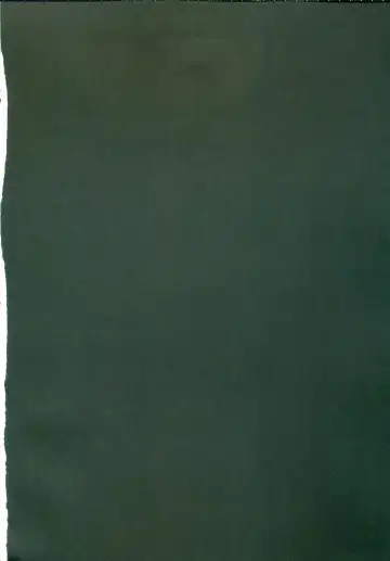 [Inase Shinya] RASENN-HIMEHAJIME Fhentai - Page 3