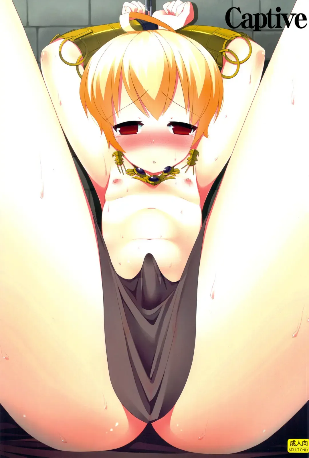 [Kiriyama Machi] Ryoshuu | Captive Fhentai - Page 1