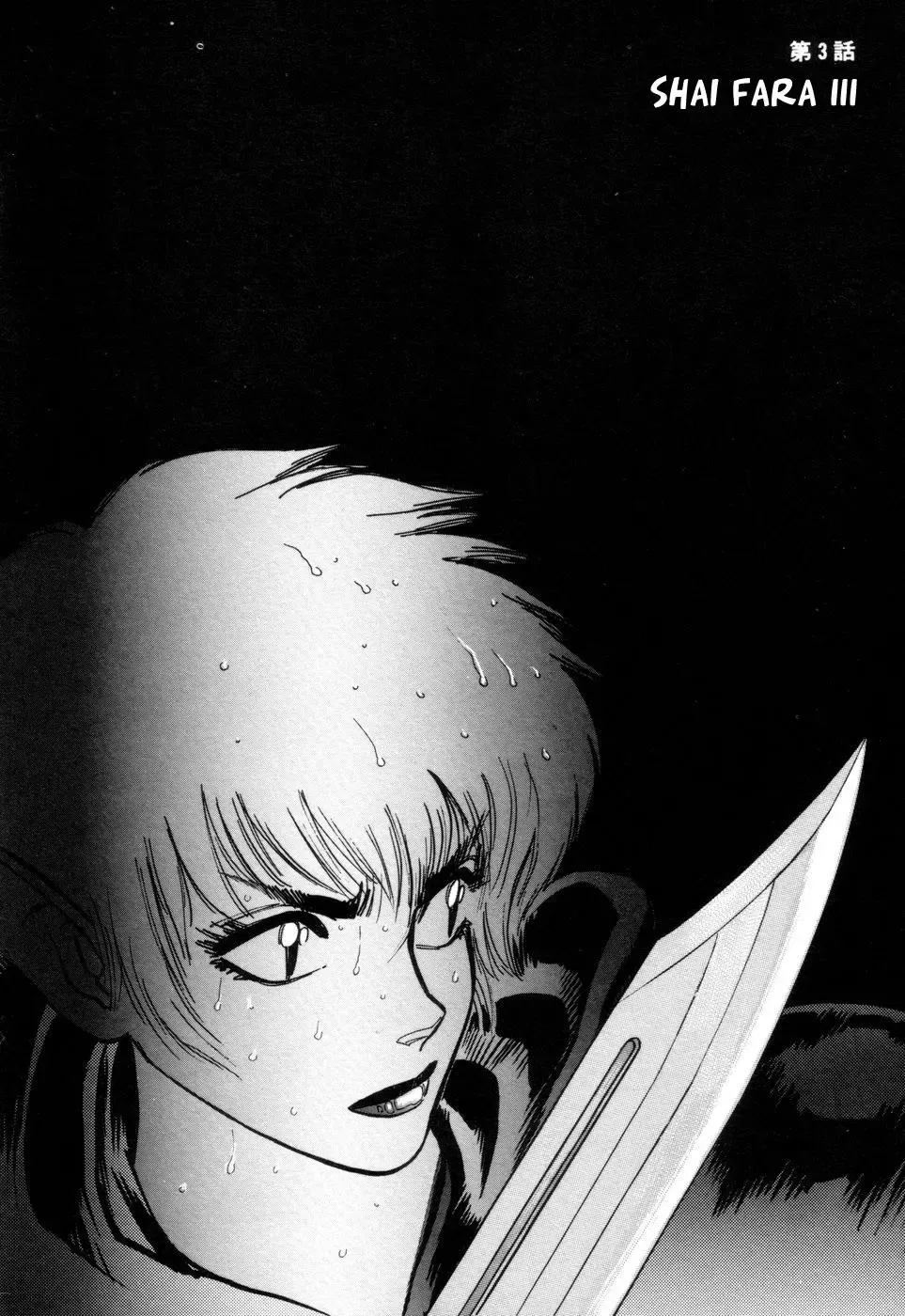 [Yamamoto Atsuji] Tsurugi no Kuni no Arnis Fhentai - Page 97