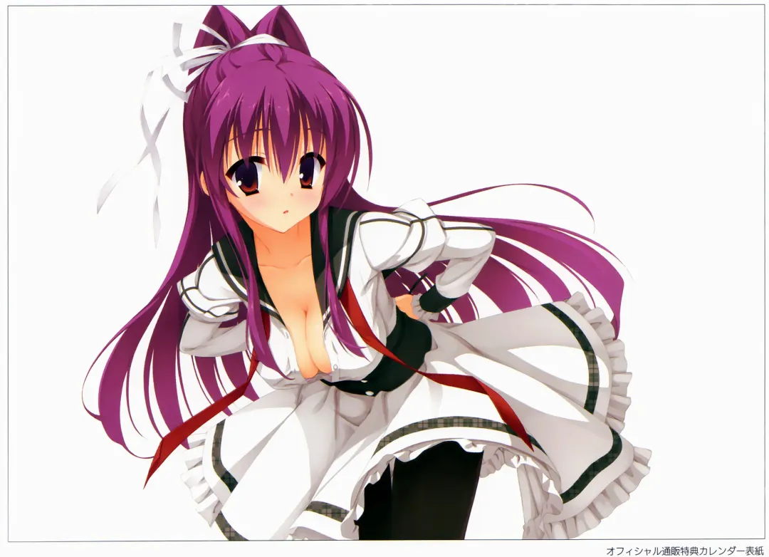 [Kobuichi - Muririn] DRACU-RIOT! Official Visual Fan Book Fhentai - Page 9