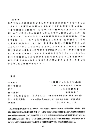 [Hayashibara Hikari] Ojou-sama Channel Vol. 2 Fhentai - Page 17