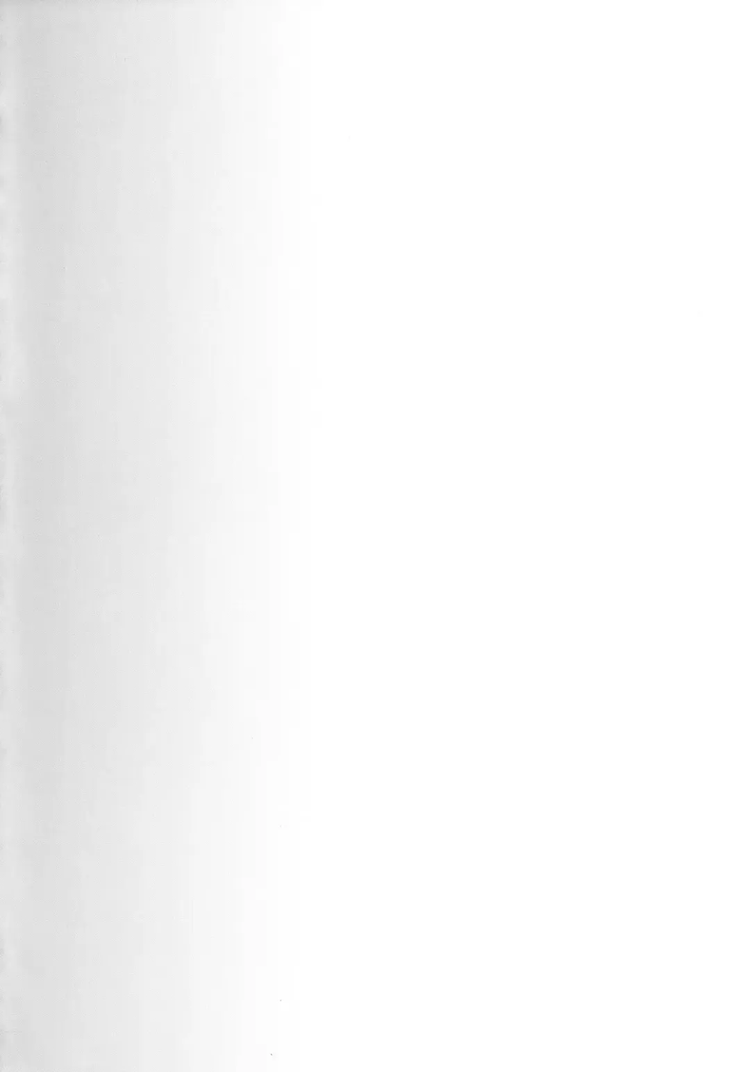 [Kimura Naoki] Hiyake Ato Fhentai - Page 3