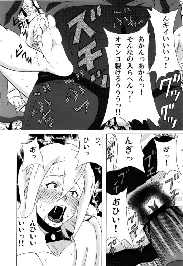 [Pip] Himeko-san ni Iroiro Tanondemita。 Fhentai - Page 19