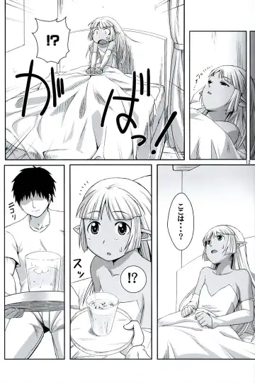 [Ono Misao] Seirei No Musubimi Fhentai - Page 11