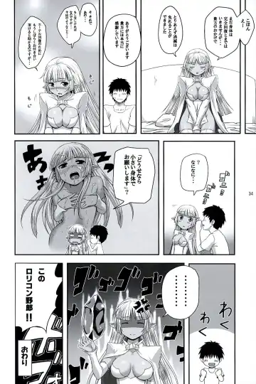 [Ono Misao] Seirei No Musubimi Fhentai - Page 33