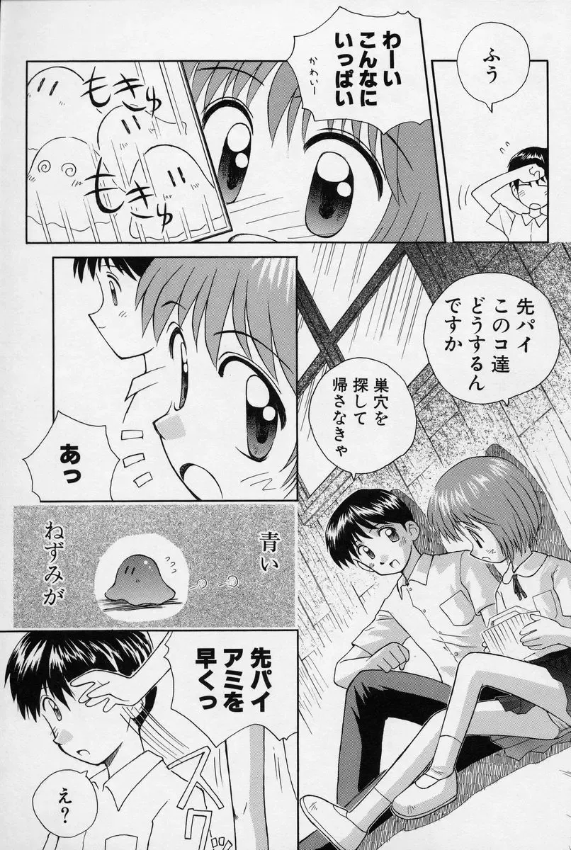 [Kokekokko Coma] Hidamari no Shoujo Fhentai - Page 136