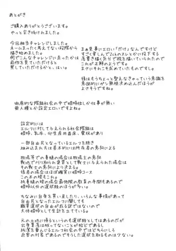 [Ryokutya] Elf no Oshigoto Fhentai - Page 21