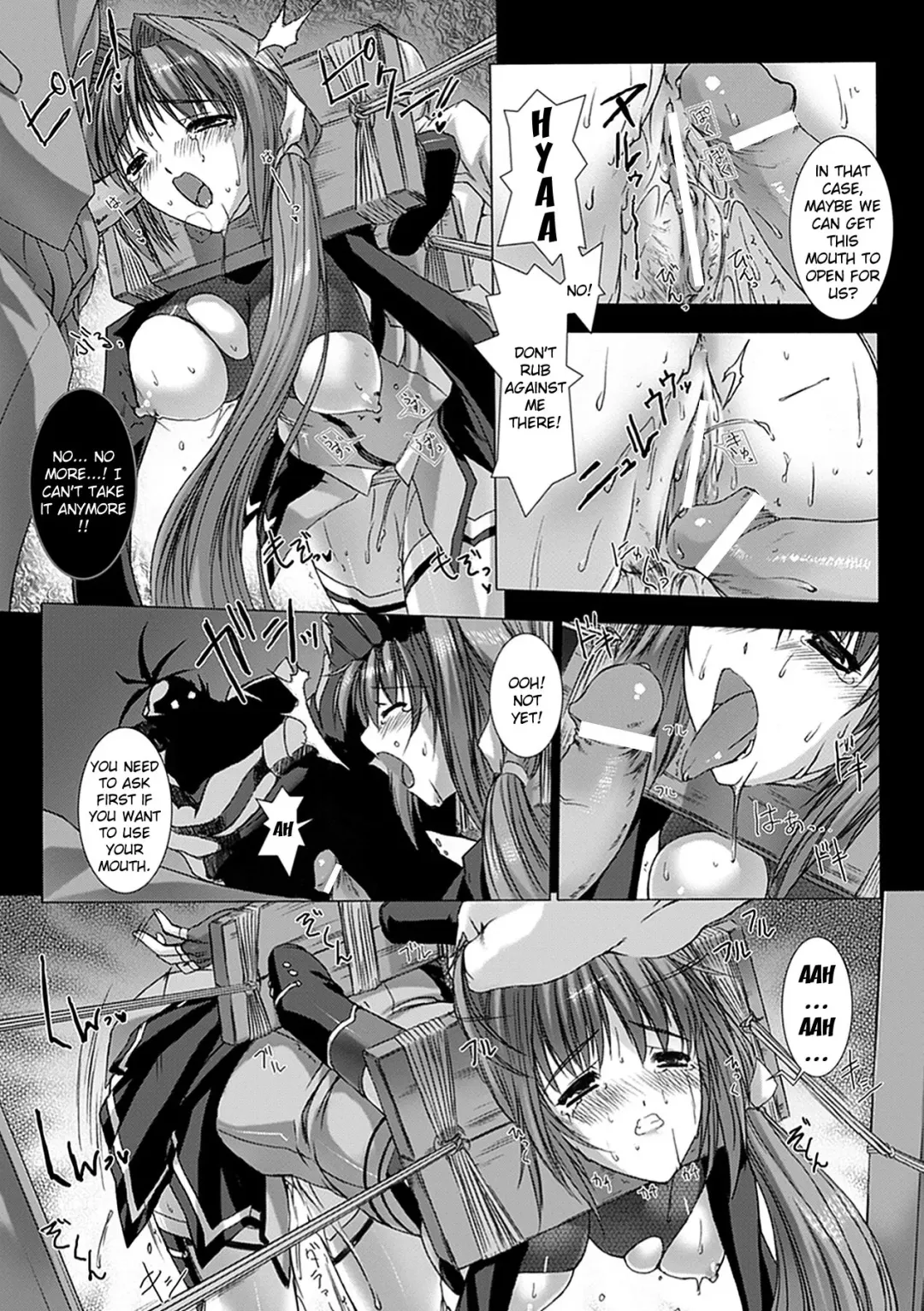 [Miss Black] Beat Blades Haruka Book of the Blade Fhentai - Page 19