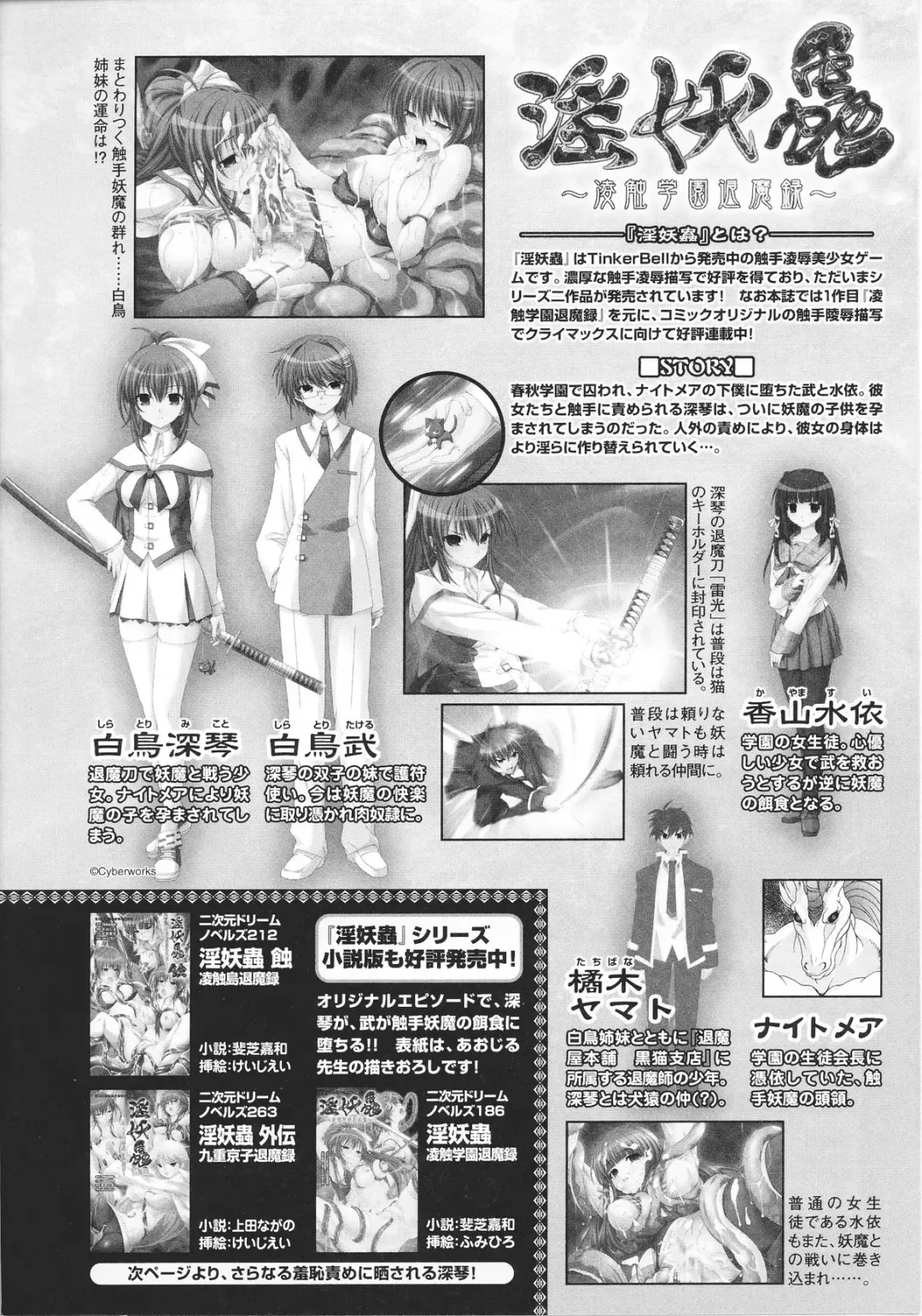 Slave Heroines Vol. 13 Fhentai - Page 33