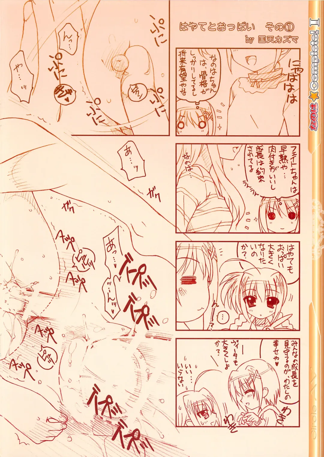 [Kazuma G-version] Nanoha Complete! I Fhentai - Page 8