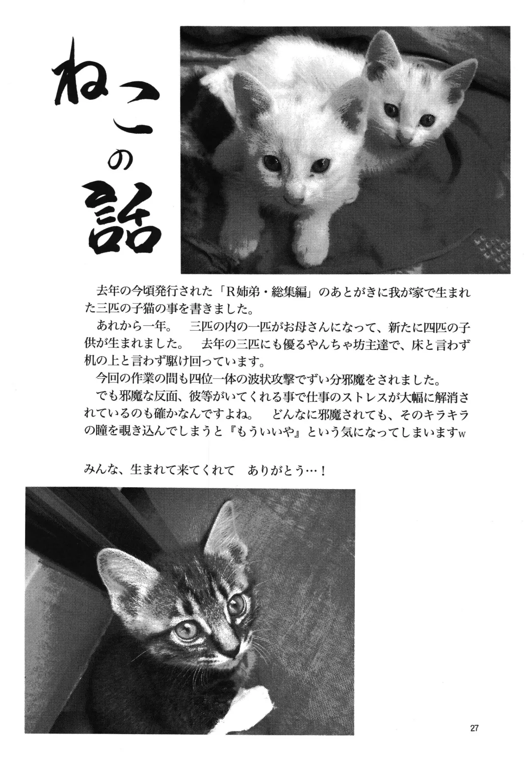 [Yoriu Mushi] Bridge Fhentai - Page 27