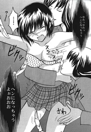 [Crimson] IchigoIchie 2 Fhentai - Page 55