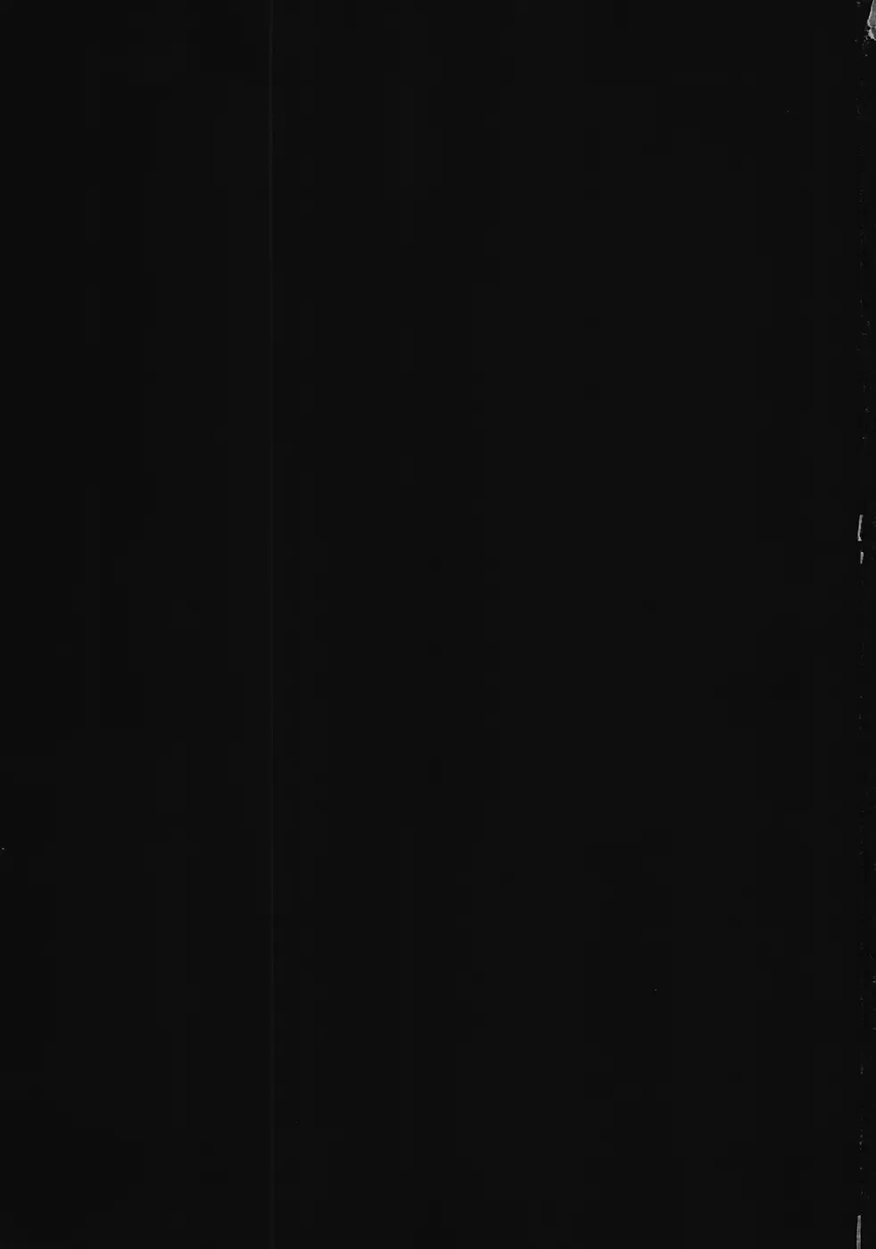 [Yukian] Kokomo Beach de Chinpira ni. Fhentai - Page 2