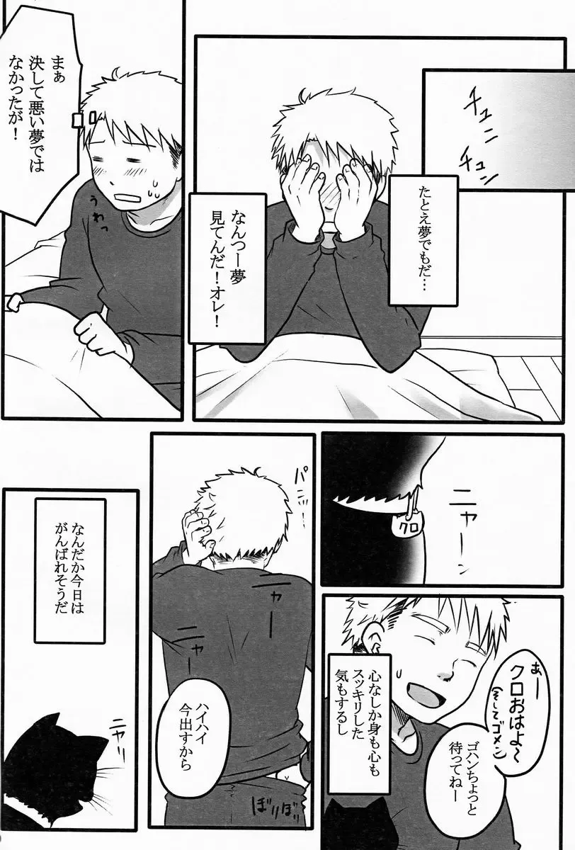 [Misumi Kouji] Black Cat Fhentai - Page 19