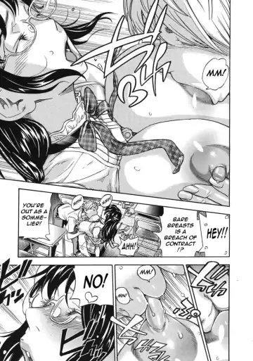 [Sasagawa Hayashi] Oppai Sommelier Fhentai - Page 17