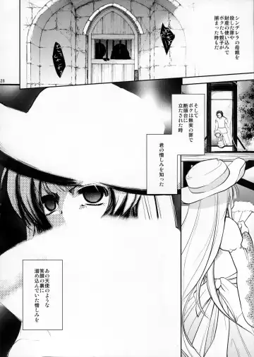 [Dynamite Moca] Otokonoko Cinderella Fhentai - Page 27