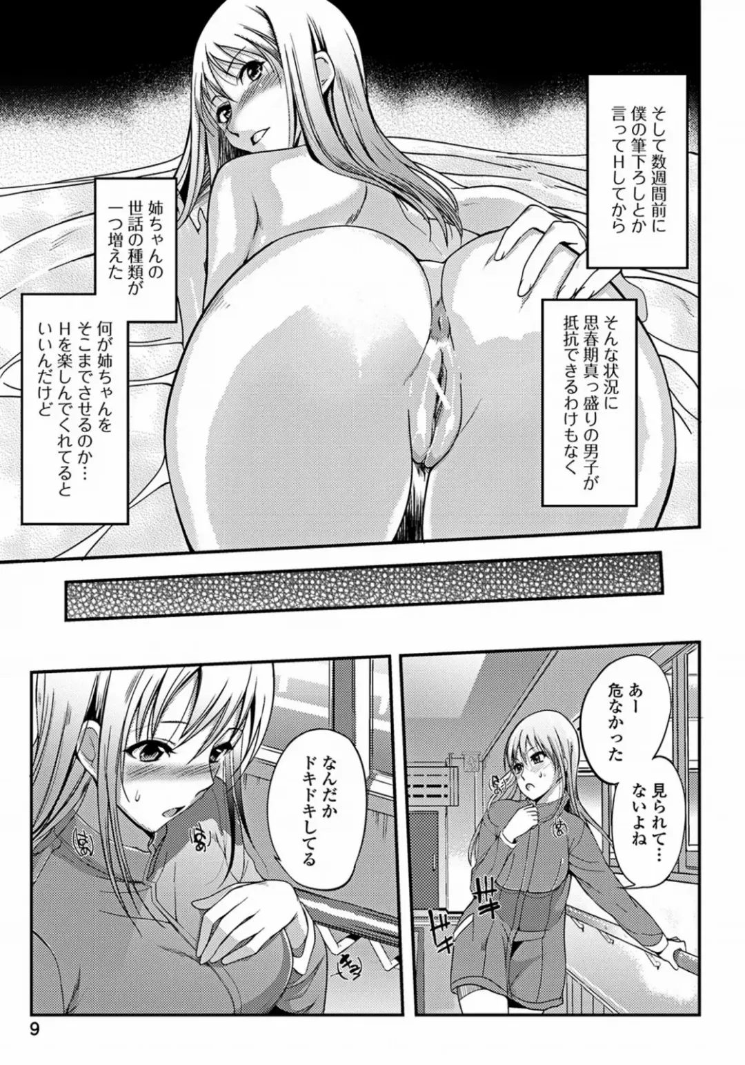 [Hanpera] Aneiro Chichi Kajuu Fhentai - Page 9