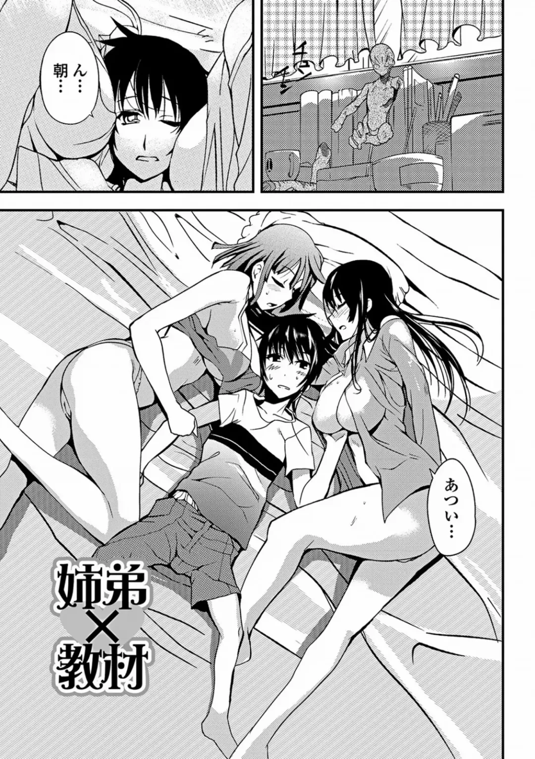 [Hanpera] Aneiro Chichi Kajuu Fhentai - Page 95