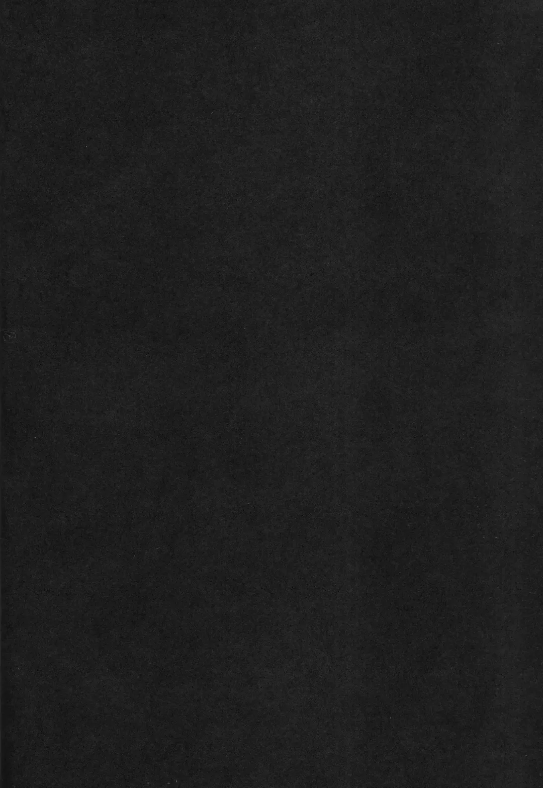 [Mitsui Mana] Black cat at night Fhentai - Page 17