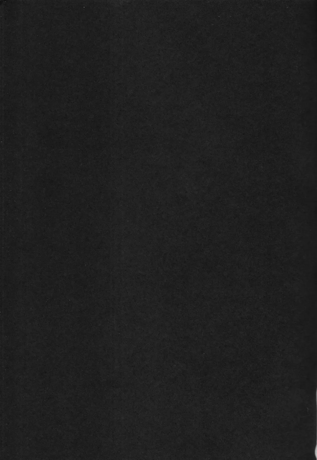 [Mitsui Mana] Black cat at night Fhentai - Page 2