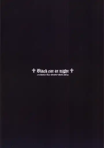 [Mitsui Mana] Black cat at night Fhentai - Page 18