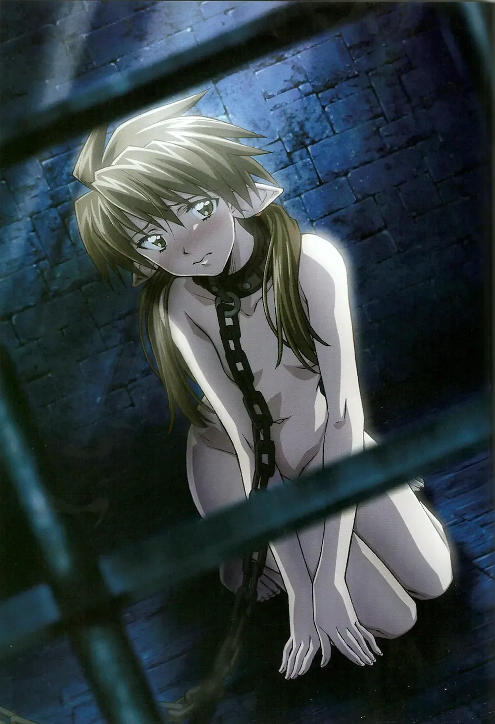 Queen's Blade Kanzen Haiboku Gashuu Vanquished Queens 2 Fhentai - Page 36