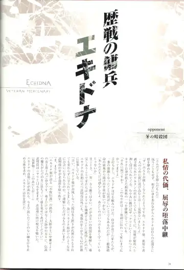 Queen's Blade Kanzen Haiboku Gashuu Vanquished Queens 2 Fhentai - Page 29