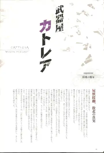 Queen's Blade Kanzen Haiboku Gashuu Vanquished Queens 2 Fhentai - Page 41