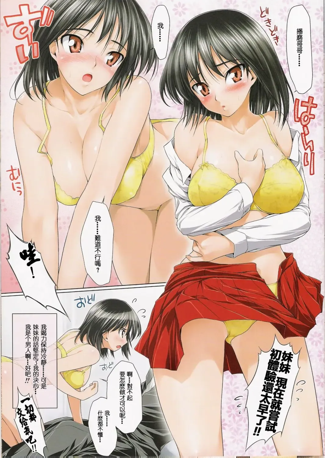 [Ishikei] Harimaro Fhentai - Page 2