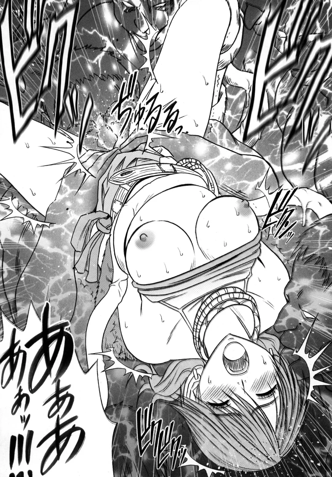 [Crimson] Watashi wa mou Nigerarenai Fhentai - Page 25