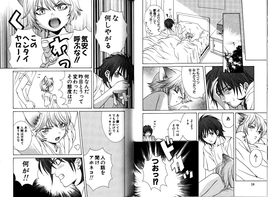 [Akana Meiko] Nekokan Fhentai - Page 17