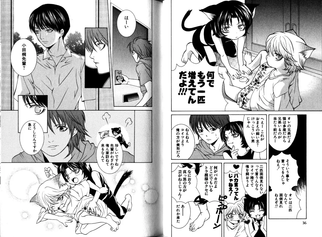 [Akana Meiko] Nekokan Fhentai - Page 21