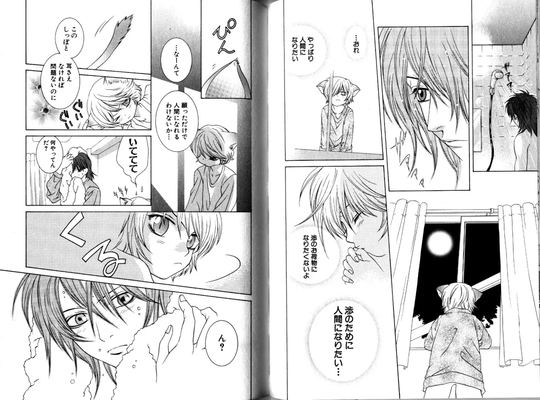 [Akana Meiko] Nekokan Fhentai - Page 51