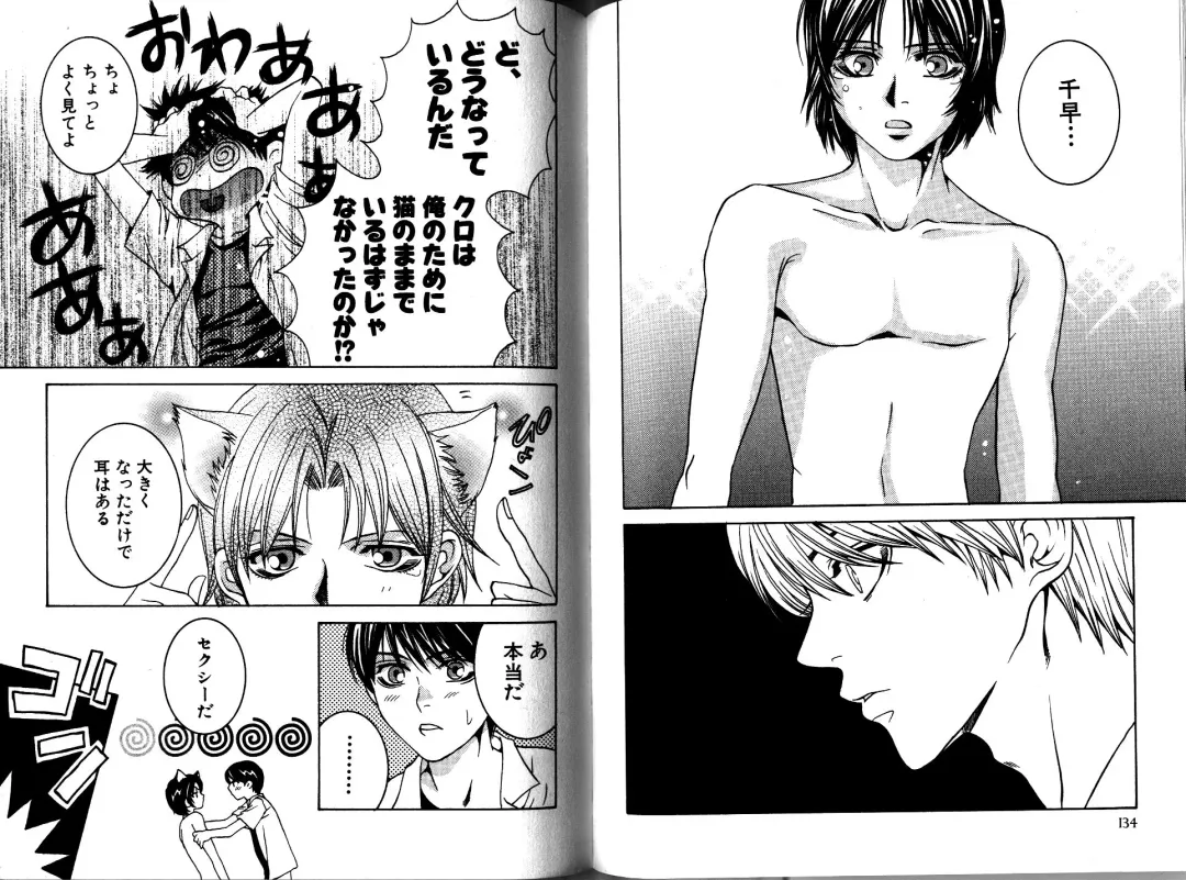 [Akana Meiko] Nekokan Fhentai - Page 70