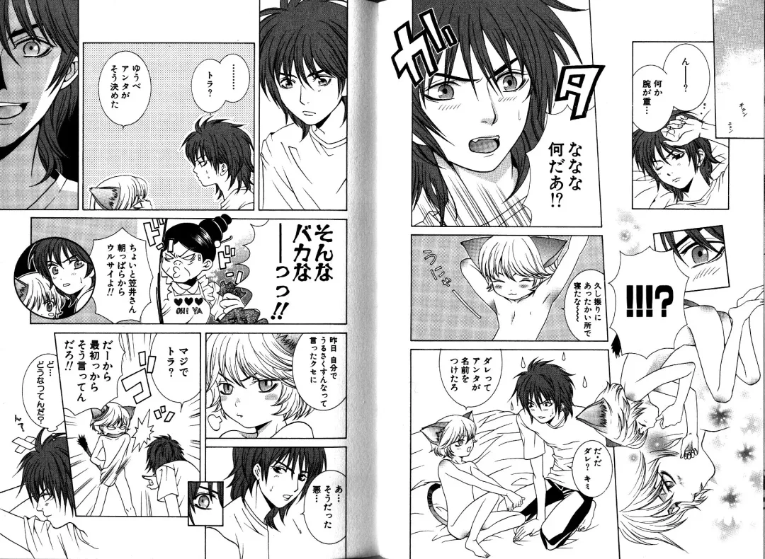 [Akana Meiko] Nekokan Fhentai - Page 9