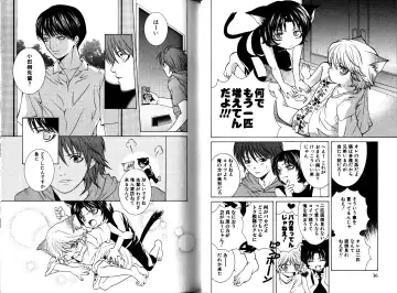 [Akana Meiko] Nekokan Fhentai - Page 21