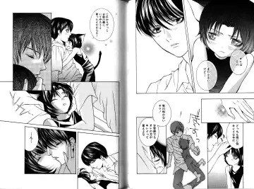 [Akana Meiko] Nekokan Fhentai - Page 27