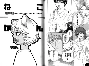 [Akana Meiko] Nekokan Fhentai - Page 30