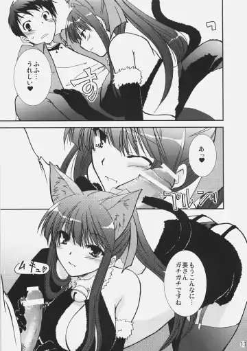 [Yamabuki Mook] Aisai Fhentai - Page 12