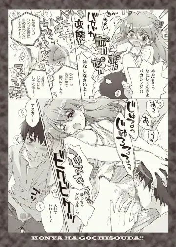 [Carnelian] Zenbu Morenaku Tabetsukushinasaiyo Baka Shinji Fhentai - Page 9