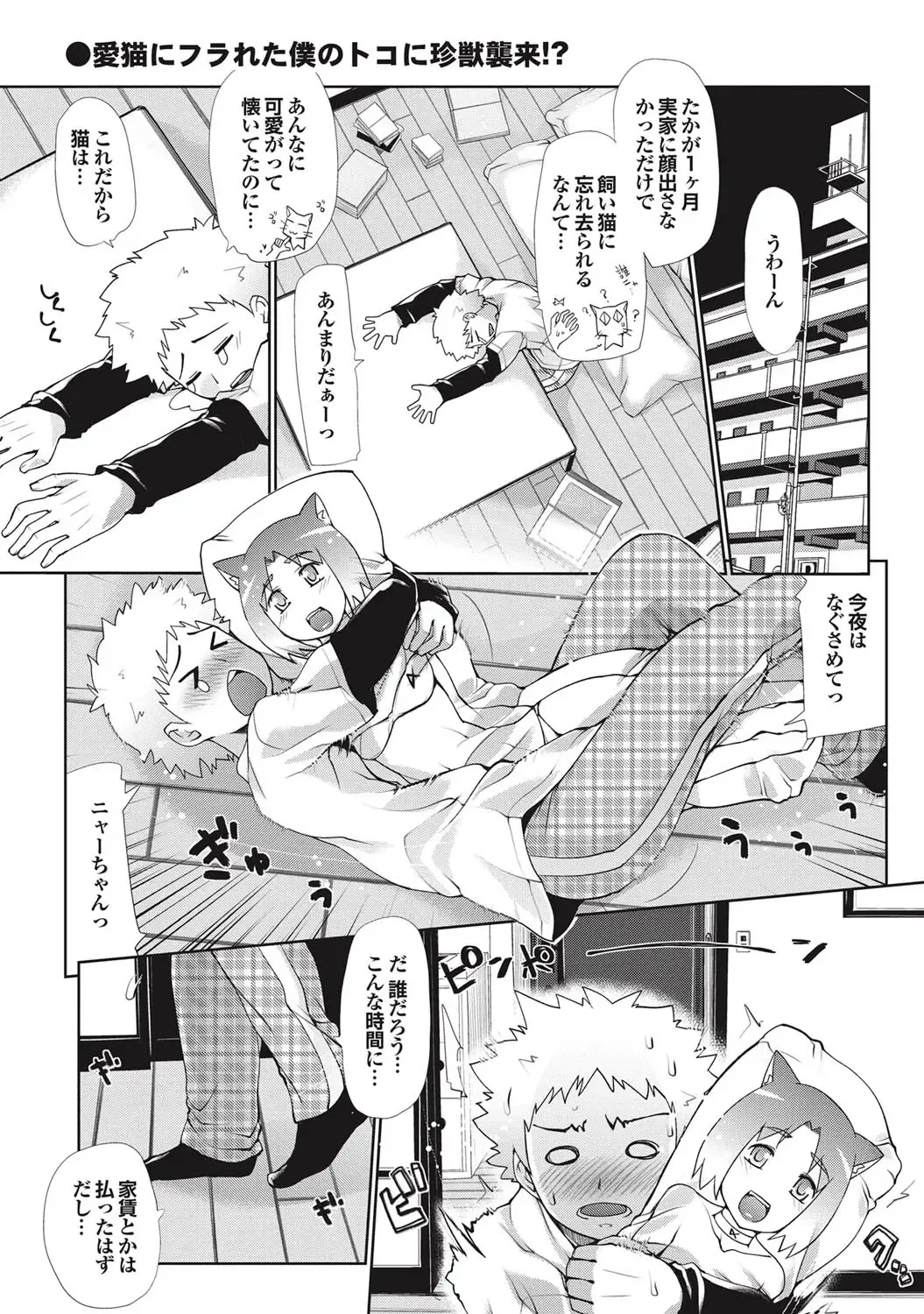 COMIC Purumelo 2010-12 Fhentai - Page 52