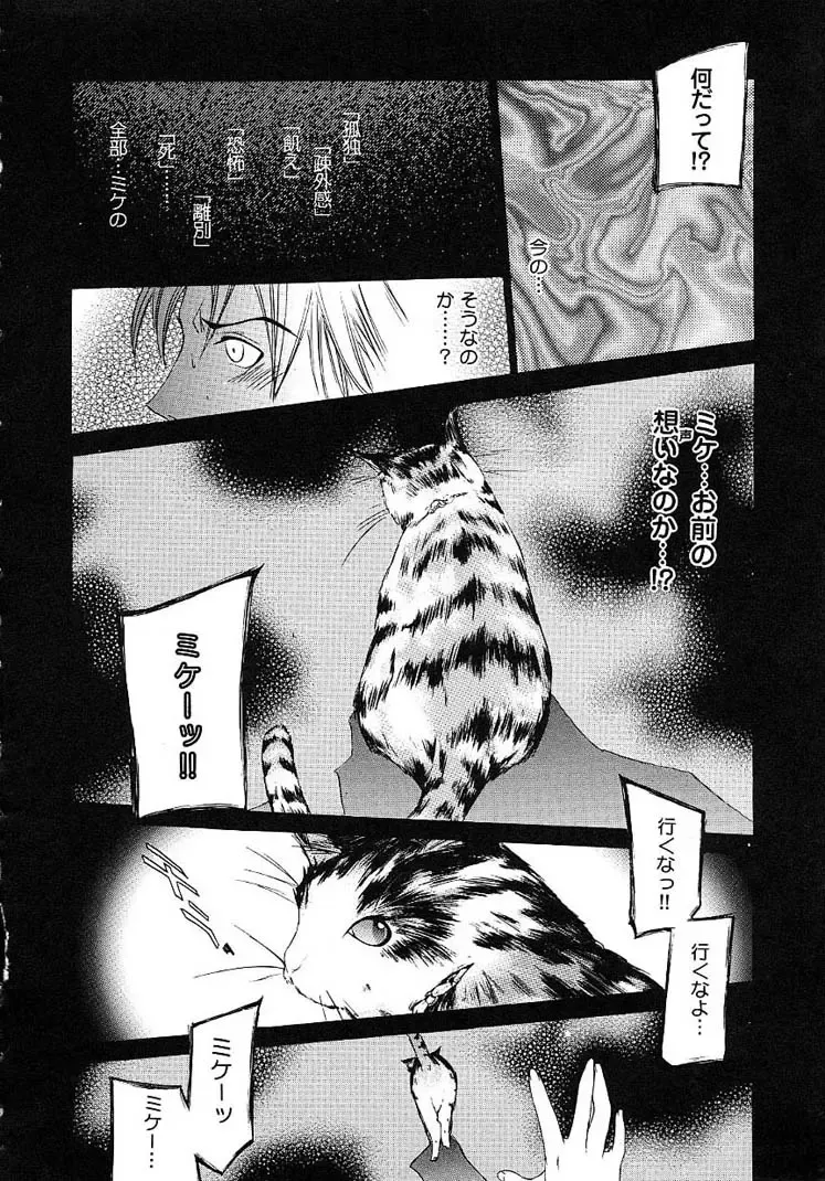 [Kentarou] HARD SHOP Fhentai - Page 150