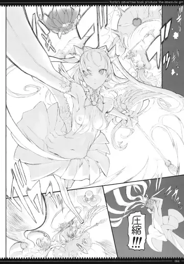[Raita] Mahou Shoujo 10.0 Fhentai - Page 3