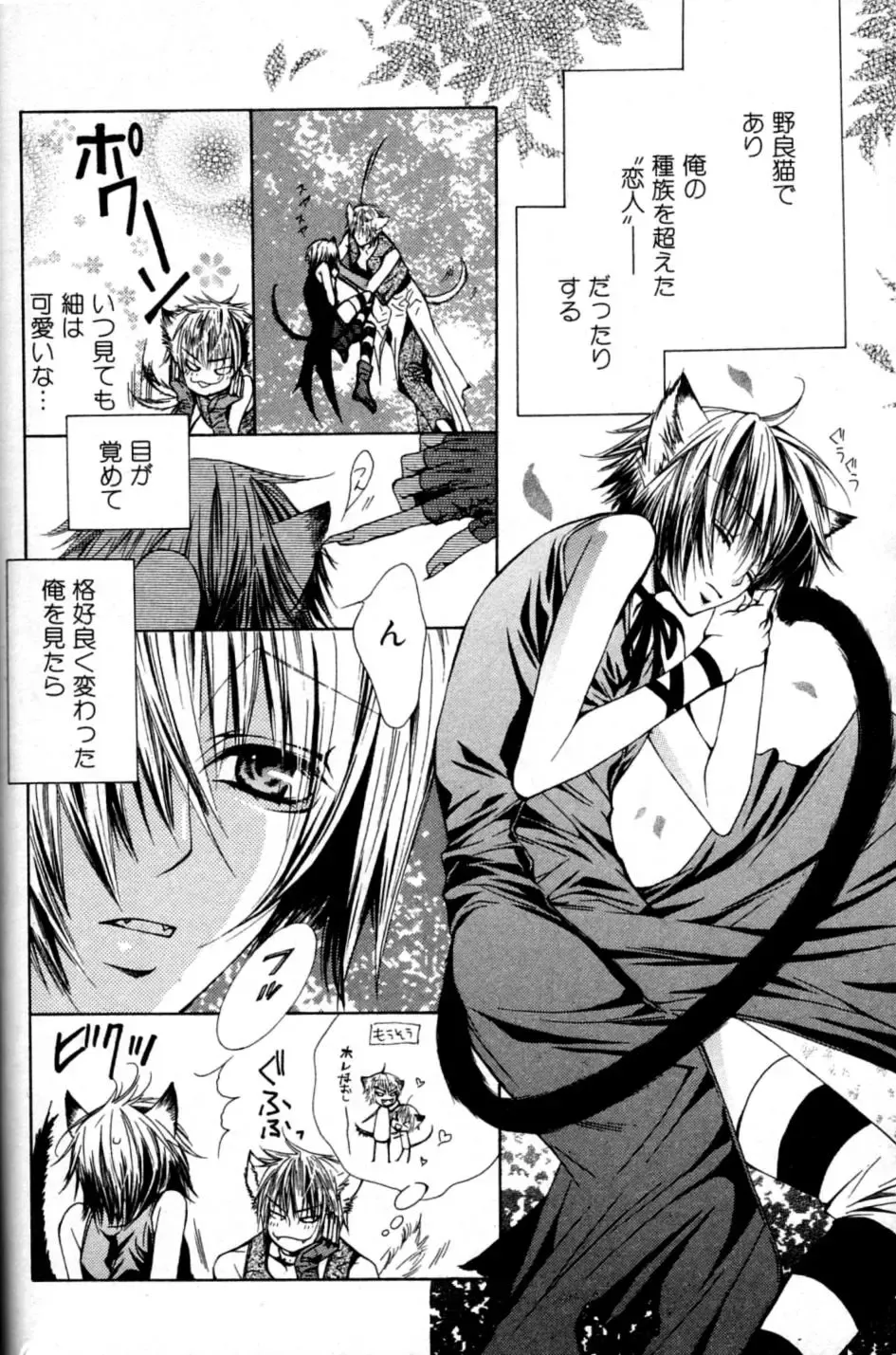 Mimi Paradise Vol. 2 Fhentai - Page 58