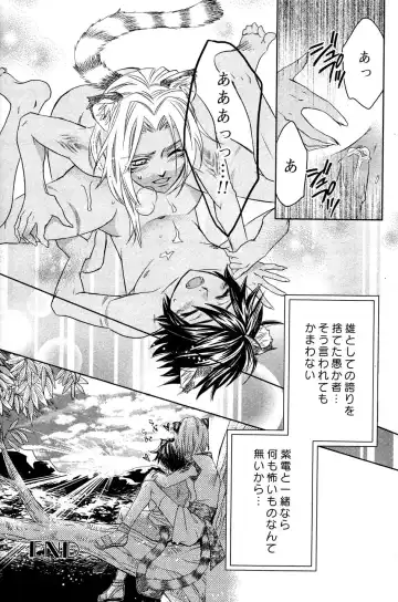 Mimi Paradise Vol. 2 Fhentai - Page 177